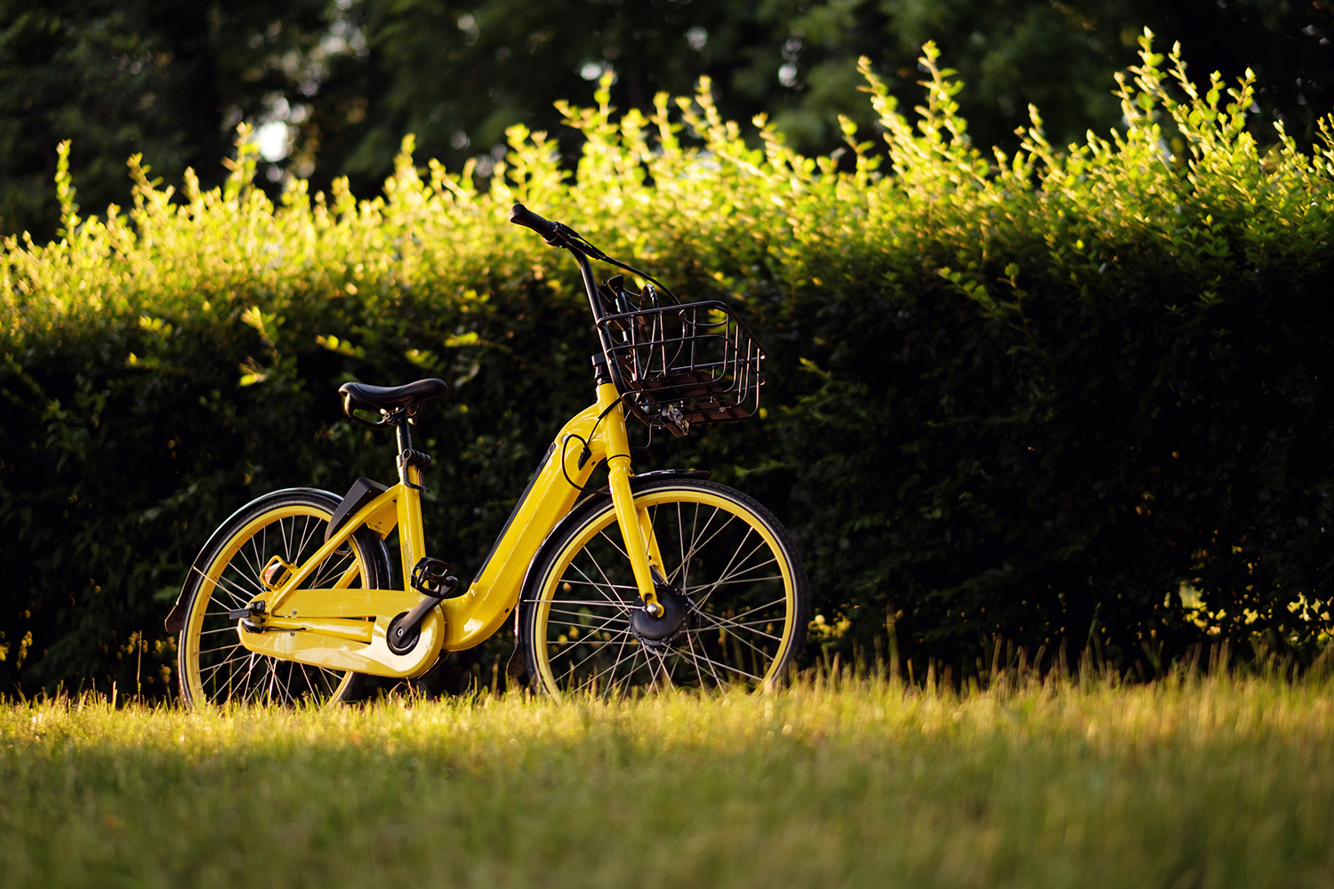 Bicicleta eléctrica parada en un jardín verde
