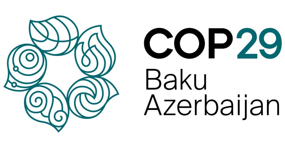 COP29